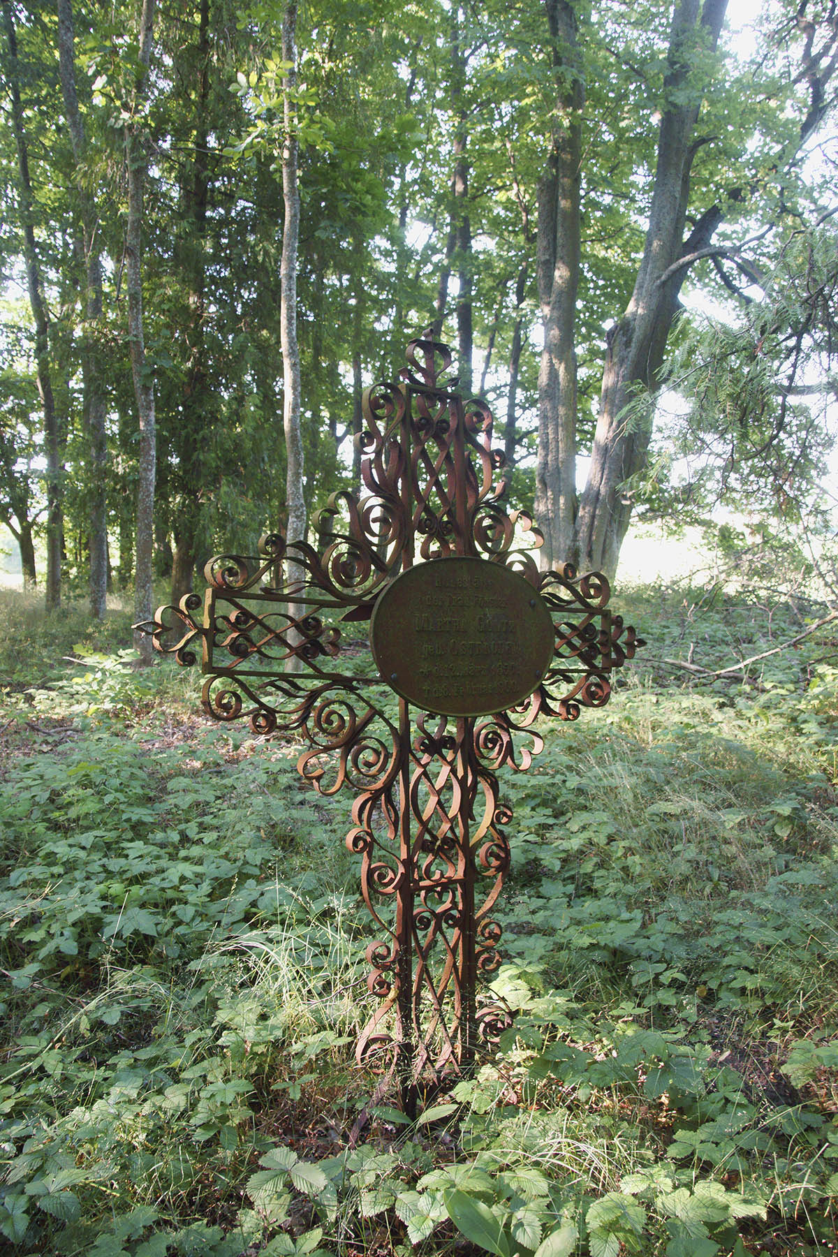 Stary, leśny cmentarz w Skalisku. Metalowy krzyż na grobie żony leśniczego – Marthy Goltz