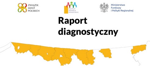 raport diagnostyczny